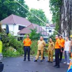 Tangkapan Tanggap Darurat Badan Penanggulangan Bencana Daerah Muba melakukan evakuasi pohon tumbang.