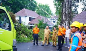 Tangkapan Tanggap Darurat Badan Penanggulangan Bencana Daerah Muba melakukan evakuasi pohon tumbang.