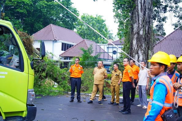Tangkapan Tanggap Darurat Badan Penanggulangan Bencana Daerah Muba melakukan evakuasi pohon tumbang.
