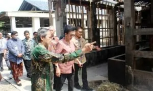 Wakil Ketua Dewan Perwakilan Daerah Republik Indonesia (DPD RI), GKR Hemas, mengunjungi warga yang berada di Kalurahan Kepek (foto : newsroom dpd ri)