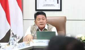 Gubernur Sumsel Herman Deru. Gubernur Sumsel Herman Deru.