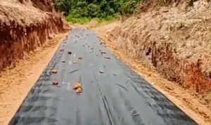 Warga dan alat berat bergotong royong melakukan perbaikan jalan di Desa Macang Sakti, Kecamatan Sanga Desa, Muba.