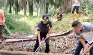 toha-tohet-bupati-muba-cor-jalan Warga bersama Camat Babat Supat gotong royong melakukan pengecoran jalan penghubung Babat Supat-Lais menggunakan mobil molen.