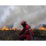 Dokumentasi Nova Wahyudi Antara-Saat Petugas memadamkan kebakaran lahan di Sumatra Selatan. Dokumentasi Nova Wahyudi Antara-Saat Petugas memadamkan kebakaran lahan di Sumatra Selatan.