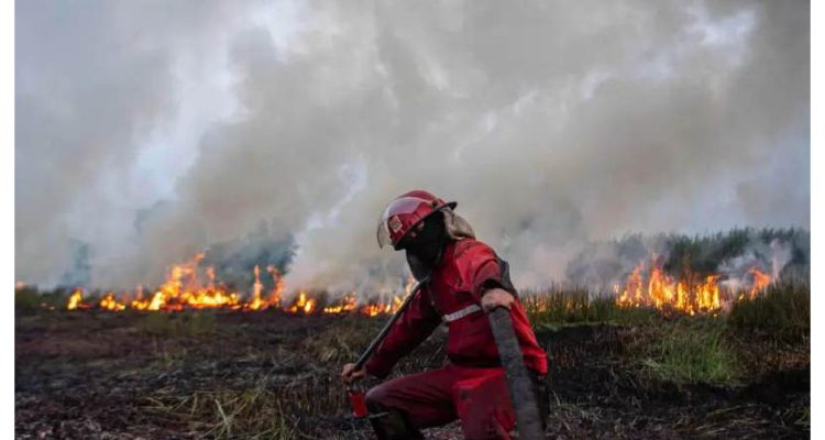 Dokumentasi Nova Wahyudi Antara-Saat Petugas memadamkan kebakaran lahan di Sumatra Selatan. Dokumentasi Nova Wahyudi Antara-Saat Petugas memadamkan kebakaran lahan di Sumatra Selatan.
