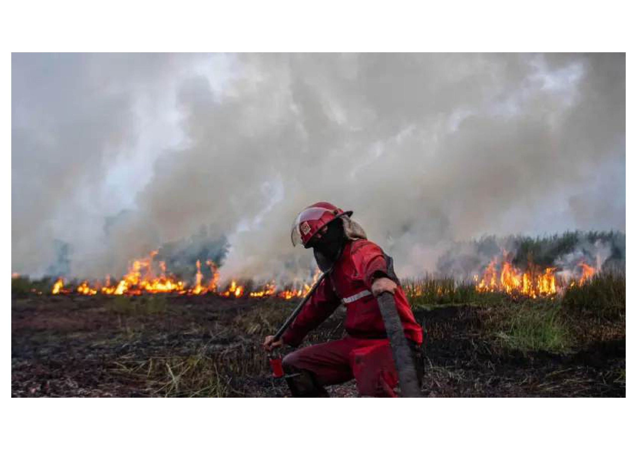 Dokumentasi Nova Wahyudi Antara-Saat Petugas memadamkan kebakaran lahan di Sumatra Selatan. Dokumentasi Nova Wahyudi Antara-Saat Petugas memadamkan kebakaran lahan di Sumatra Selatan.